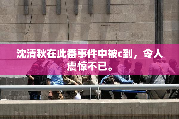 沈清秋在此番事件中被c到，令人震惊不已。