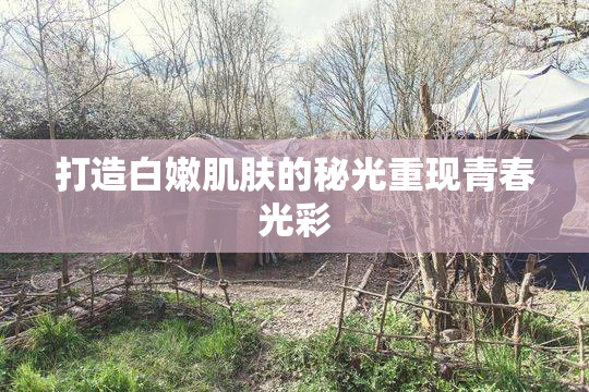 打造白嫩肌肤的秘光重现青春光彩