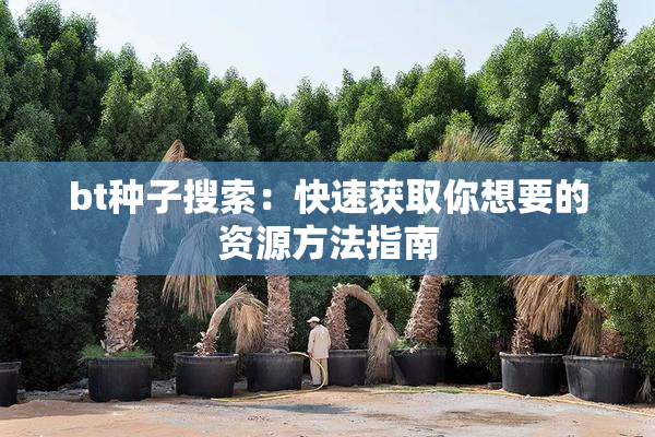 bt种子搜索：快速获取你想要的资源方法指南
