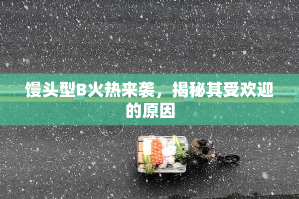 馒头型B火热来袭，揭秘其受欢迎的原因