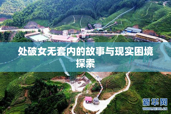 处破女无套内的故事与现实困境探索