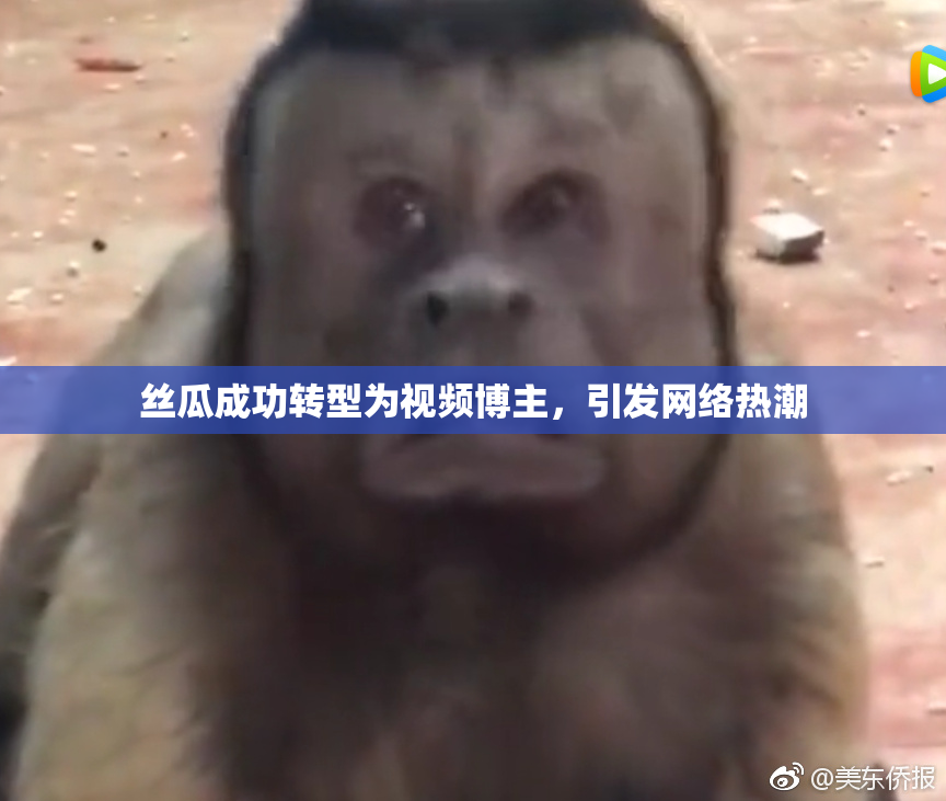 丝瓜成功转型为视频博主，引发网络热潮