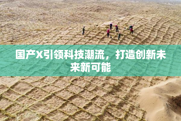国产X引领科技潮流，打造创新未来新可能