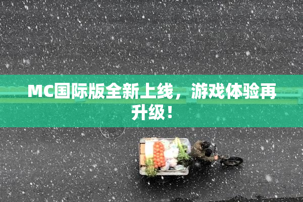 MC国际版全新上线，游戏体验再升级！