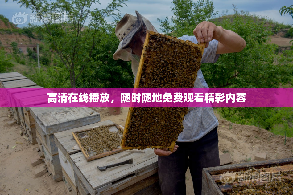 高清在线播放，随时随地免费观看精彩内容