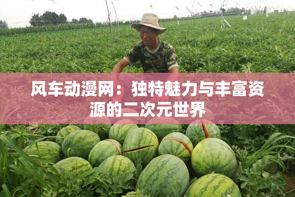 风车动漫网：独特魅力与丰富资源的二次元世界