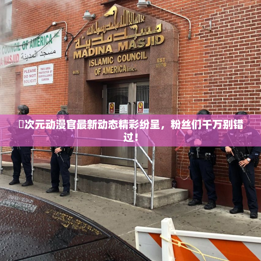 囧次元动漫官最新动态精彩纷呈，粉丝们千万别错过！