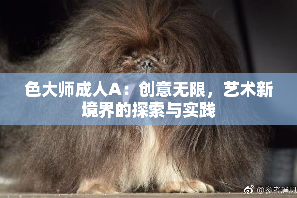 色大师成人A：创意无限，艺术新境界的探索与实践