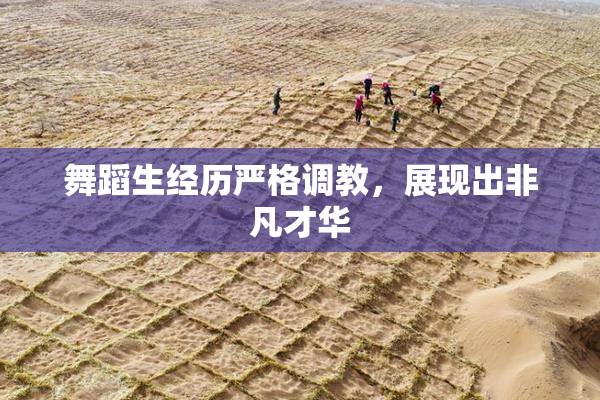 舞蹈生经历严格调教，展现出非凡才华
