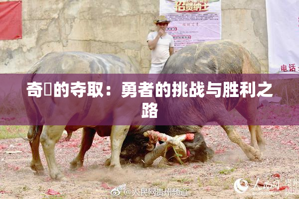 奇犽的夺取：勇者的挑战与胜利之路