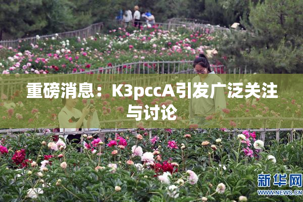 重磅消息：K3pccA引发广泛关注与讨论