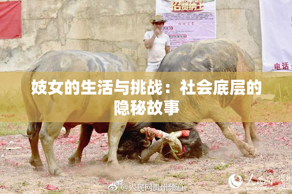 妓女的生活与挑战：社会底层的隐秘故事