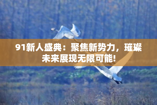 91新人盛典：聚焦新势力，璀璨未来展现无限可能!