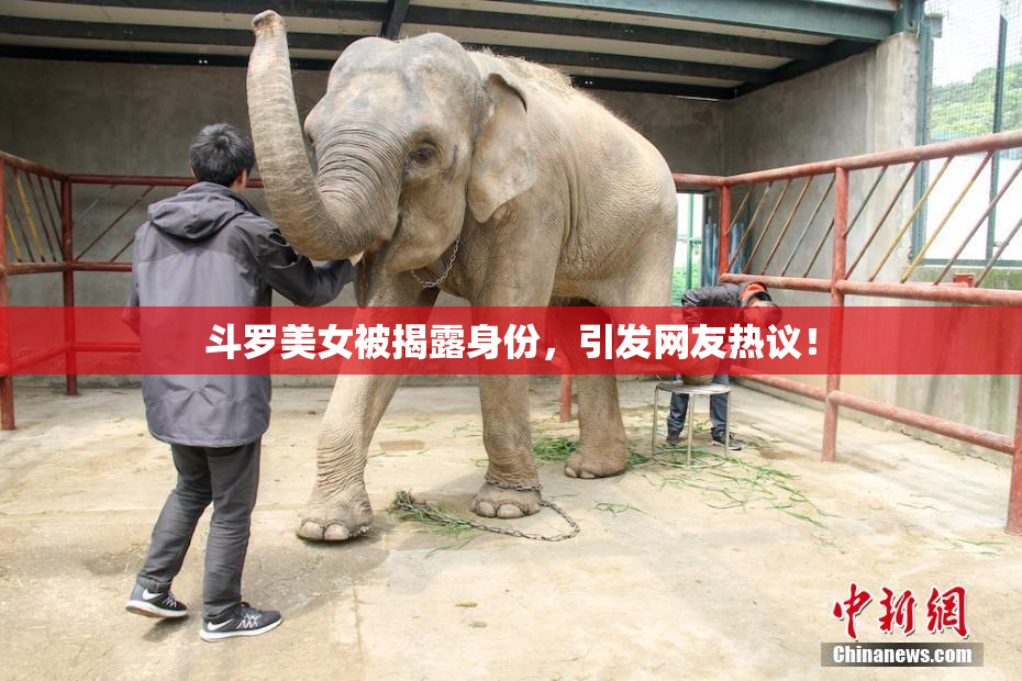 斗罗美女被揭露身份，引发网友热议！