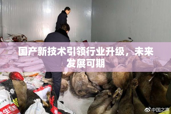 国产新技术引领行业升级，未来发展可期