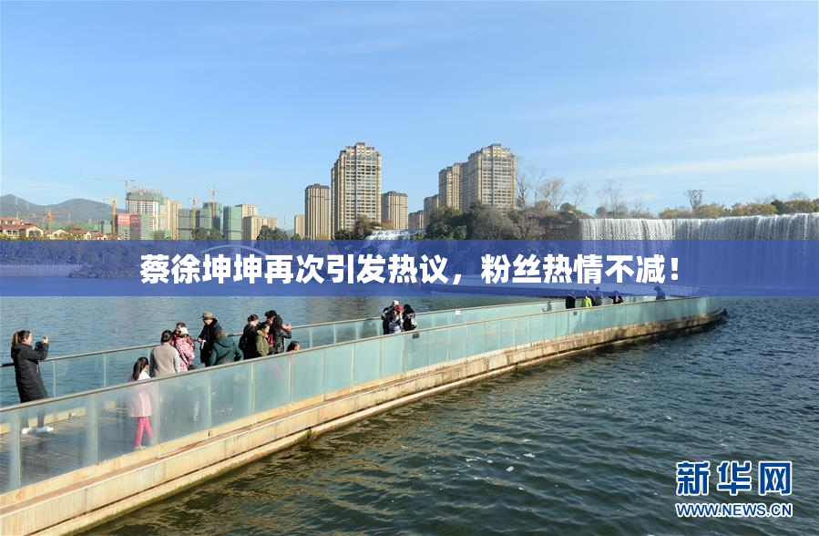 蔡徐坤坤再次引发热议，粉丝热情不减！