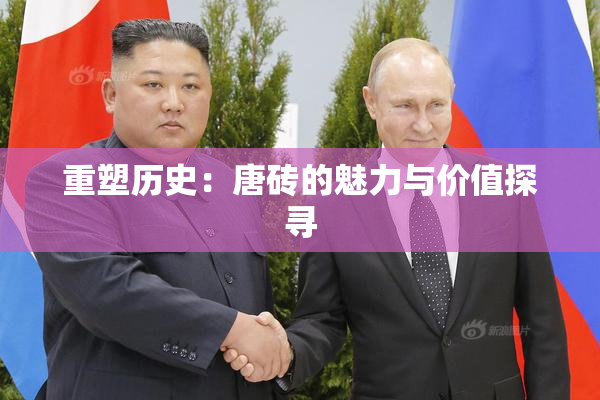 重塑历史：唐砖的魅力与价值探寻