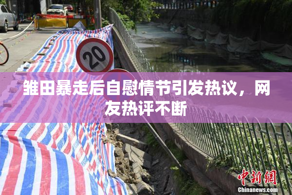 雏田暴走后自慰情节引发热议，网友热评不断
