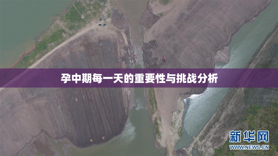 孕中期每一天的重要性与挑战分析