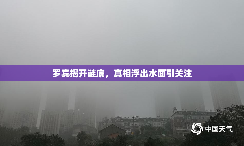 罗宾揭开谜底，真相浮出水面引关注