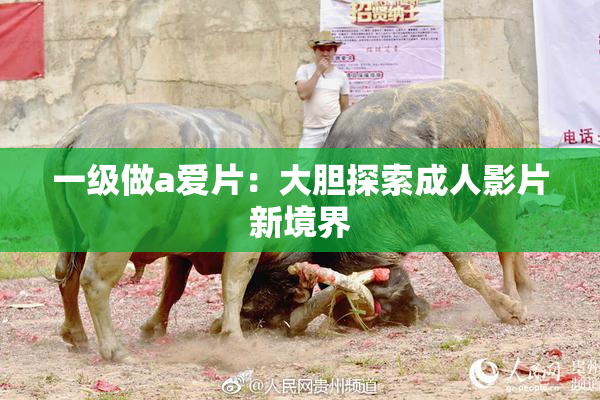 一级做a爱片：大胆探索成人影片新境界