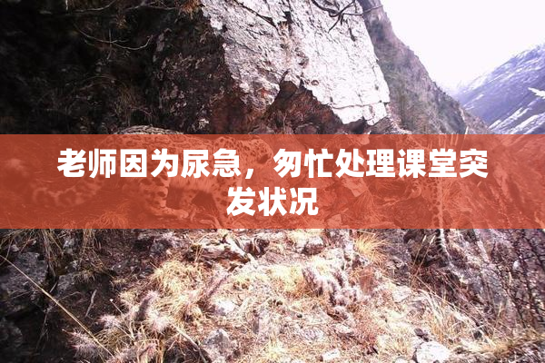 老师因为尿急，匆忙处理课堂突发状况