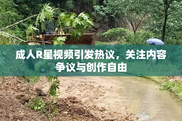 成人R星视频引发热议，关注内容争议与创作自由