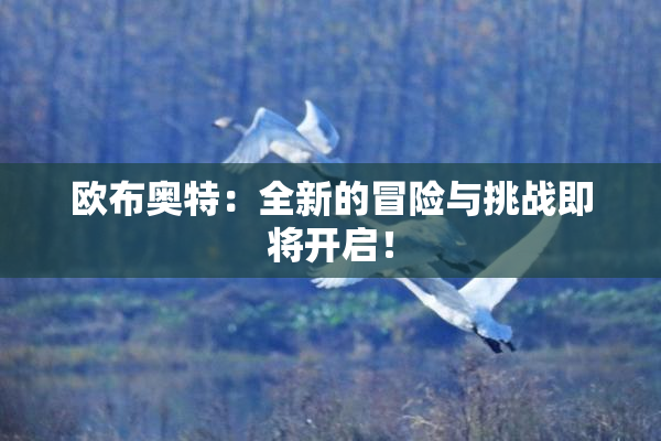 欧布奥特：全新的冒险与挑战即将开启！