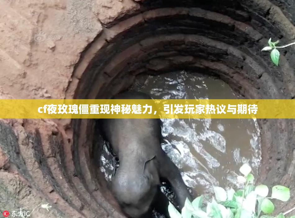 cf夜玫瑰僵重现神秘魅力，引发玩家热议与期待