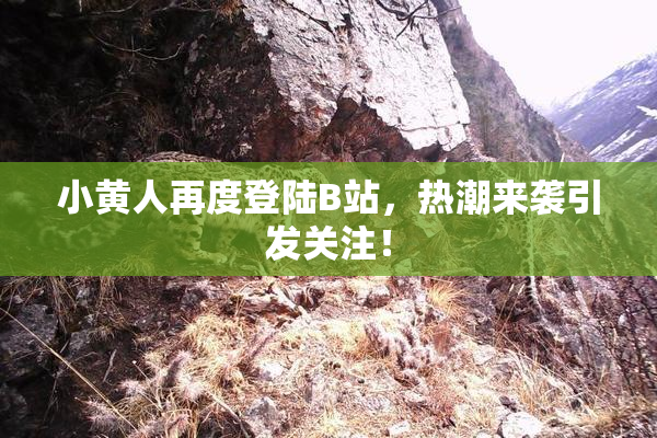 小黄人再度登陆B站，热潮来袭引发关注！