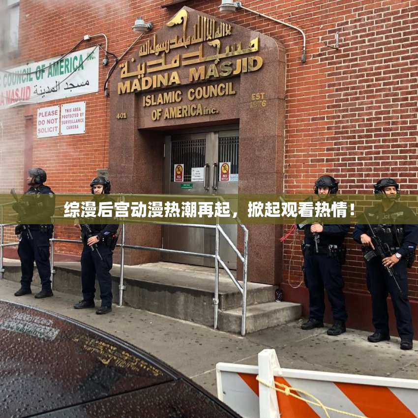 综漫后宫动漫热潮再起，掀起观看热情！