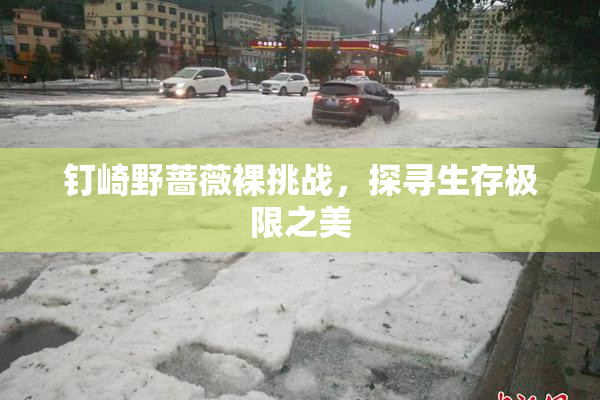 钉崎野蔷薇裸挑战，探寻生存极限之美
