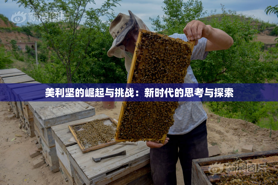 美利坚的崛起与挑战：新时代的思考与探索