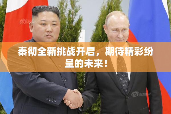 秦彻全新挑战开启，期待精彩纷呈的未来！