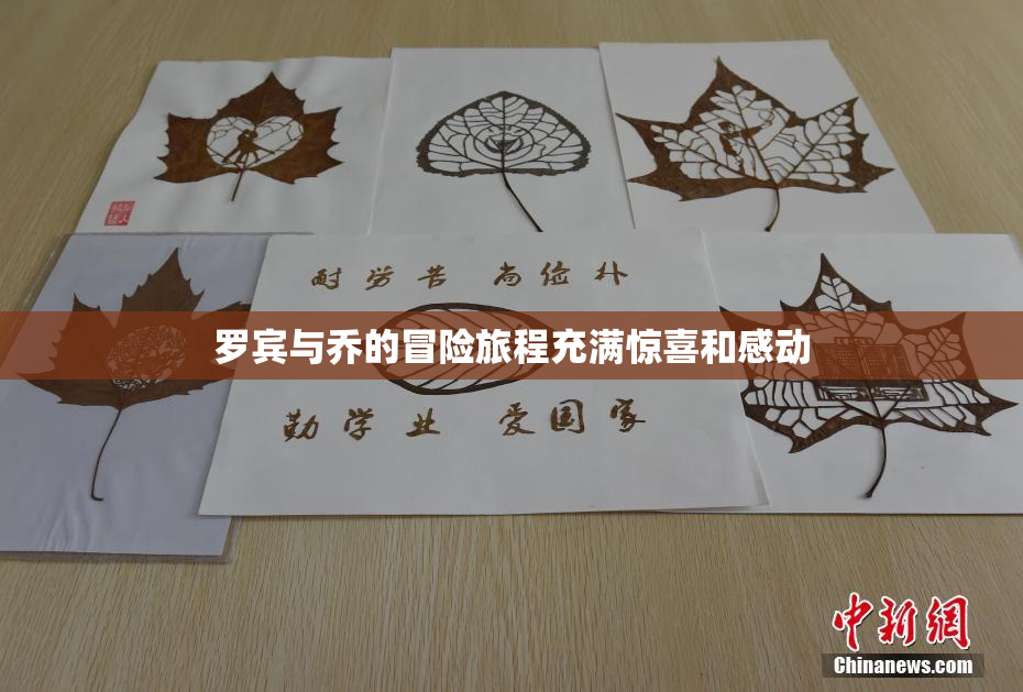 罗宾与乔的冒险旅程充满惊喜和感动