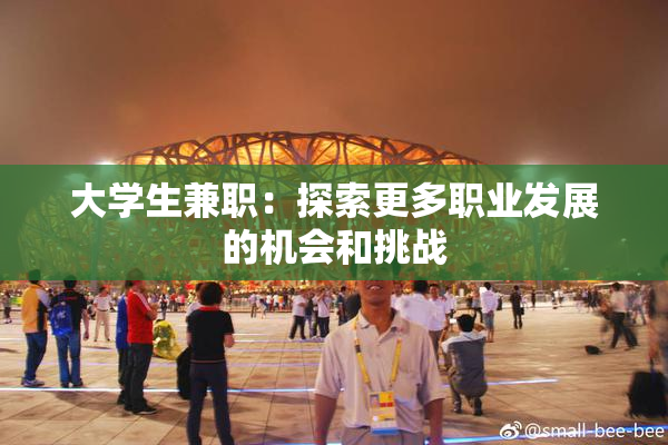 大学生兼职：探索更多职业发展的机会和挑战