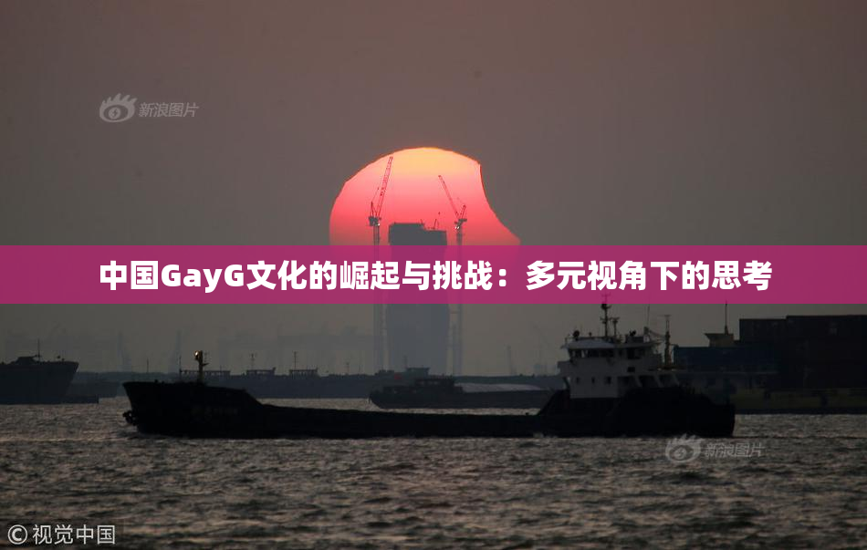 中国GayG文化的崛起与挑战：多元视角下的思考