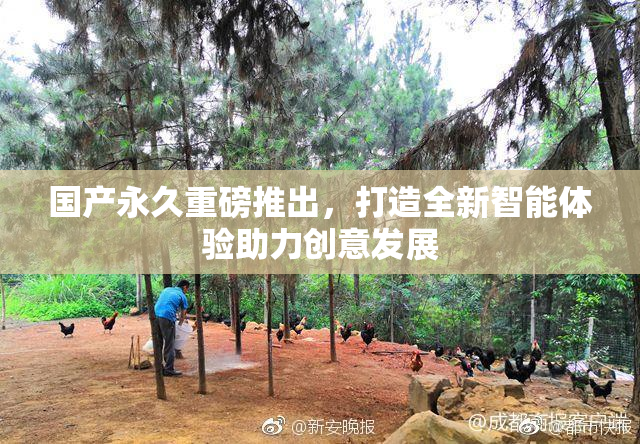 国产永久重磅推出，打造全新智能体验助力创意发展