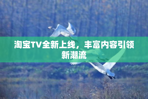 淘宝TV全新上线，丰富内容引领新潮流