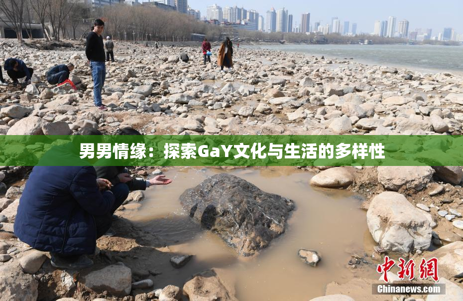 男男情缘：探索GaY文化与生活的多样性