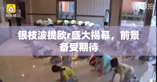 银枝波提欧r盛大揭幕，前景备受期待