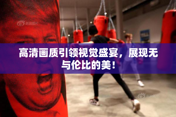 高清画质引领视觉盛宴，展现无与伦比的美！