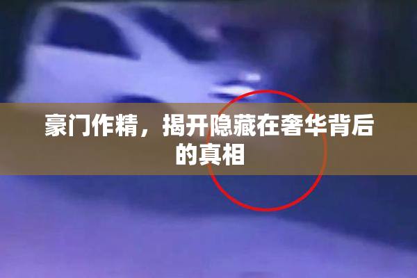 豪门作精，揭开隐藏在奢华背后的真相