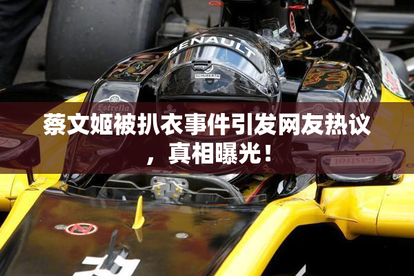 蔡文姬被扒衣事件引发网友热议，真相曝光！