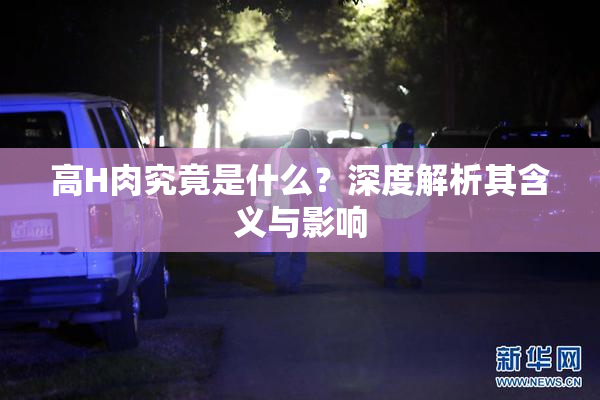 高H肉究竟是什么？深度解析其含义与影响