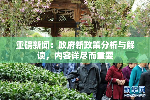 重磅新闻：政府新政策分析与解读，内容详尽而重要