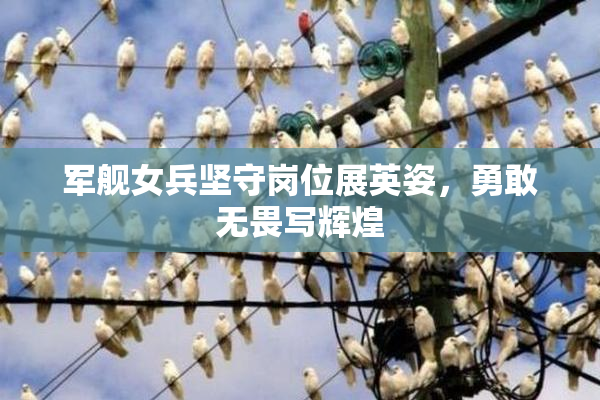 军舰女兵坚守岗位展英姿，勇敢无畏写辉煌