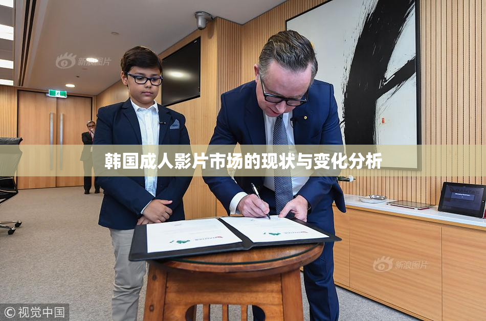 韩国成人影片市场的现状与变化分析