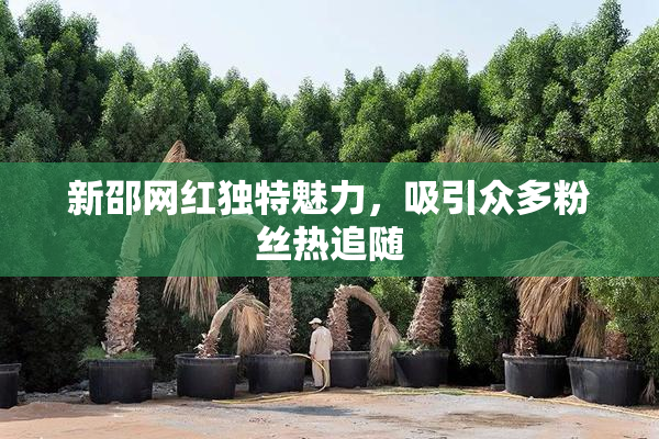 新邵网红独特魅力，吸引众多粉丝热追随