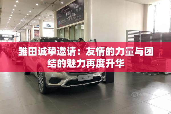雏田诚挚邀请：友情的力量与团结的魅力再度升华